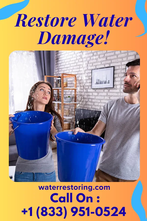 water restoration Vigilant Water Damage Team Mountain City
