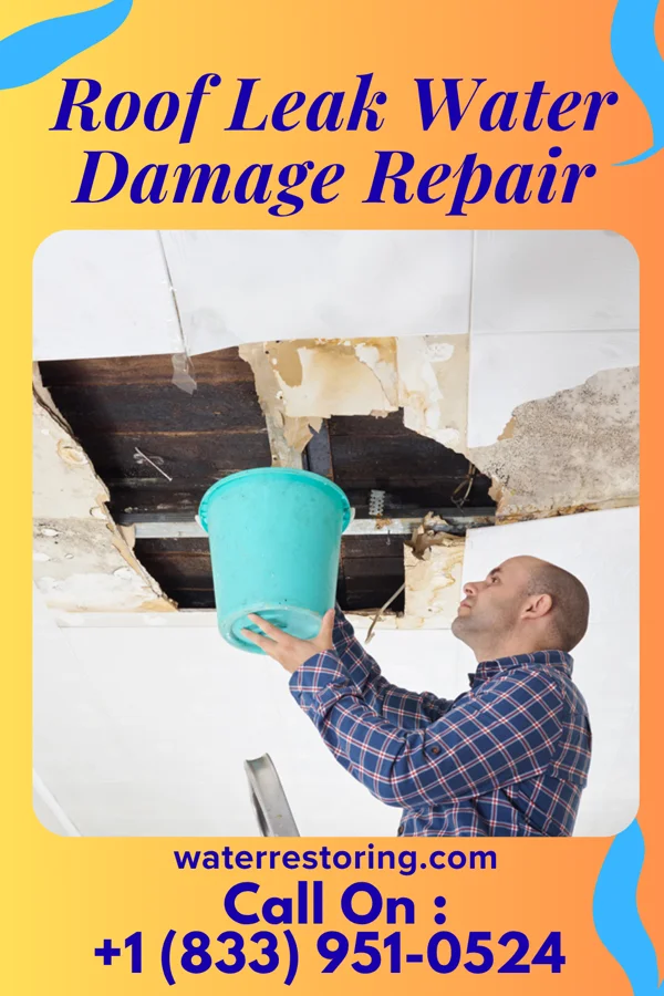 Roof Leak Water Damage Repair in Mountain City, TN