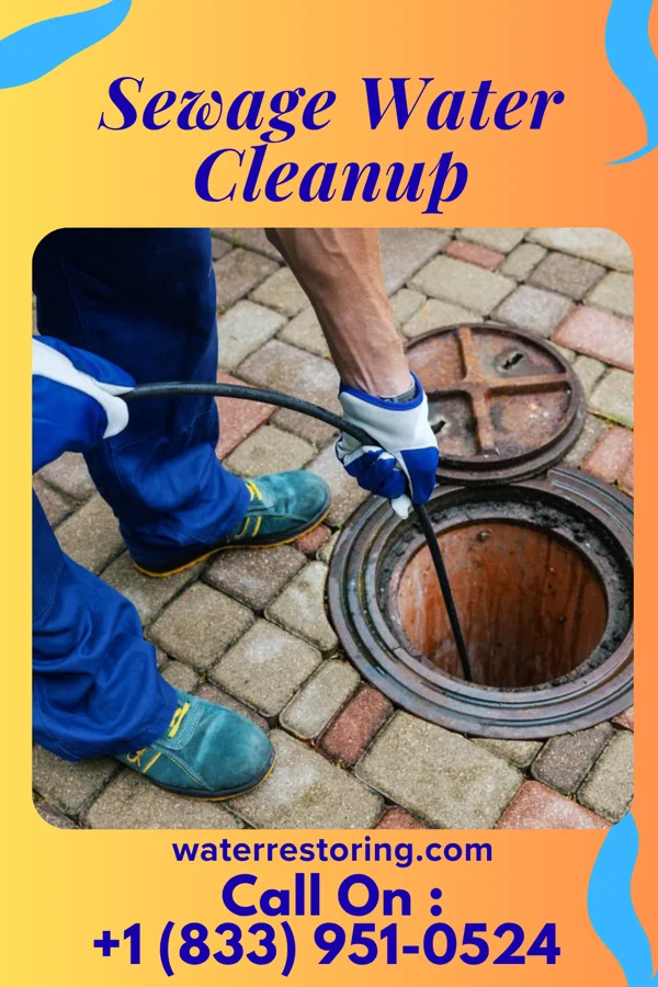 Sewage Water Cleanup in Mountain City, TN